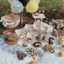 Outing picnic mat ins Wind spring outing supplies full set of moisture proof mat white picnic cloth lawn mat outdoor portable