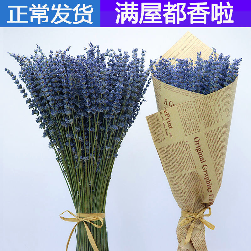 Lavender dried bouquet natural air-dried flowers calm the spirit to help sleep aromatherapy net red flower arrangement home decoration ornament immortal flower
