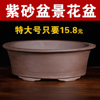 Simple purple sand purple sand bonsai special large diameter flower pot