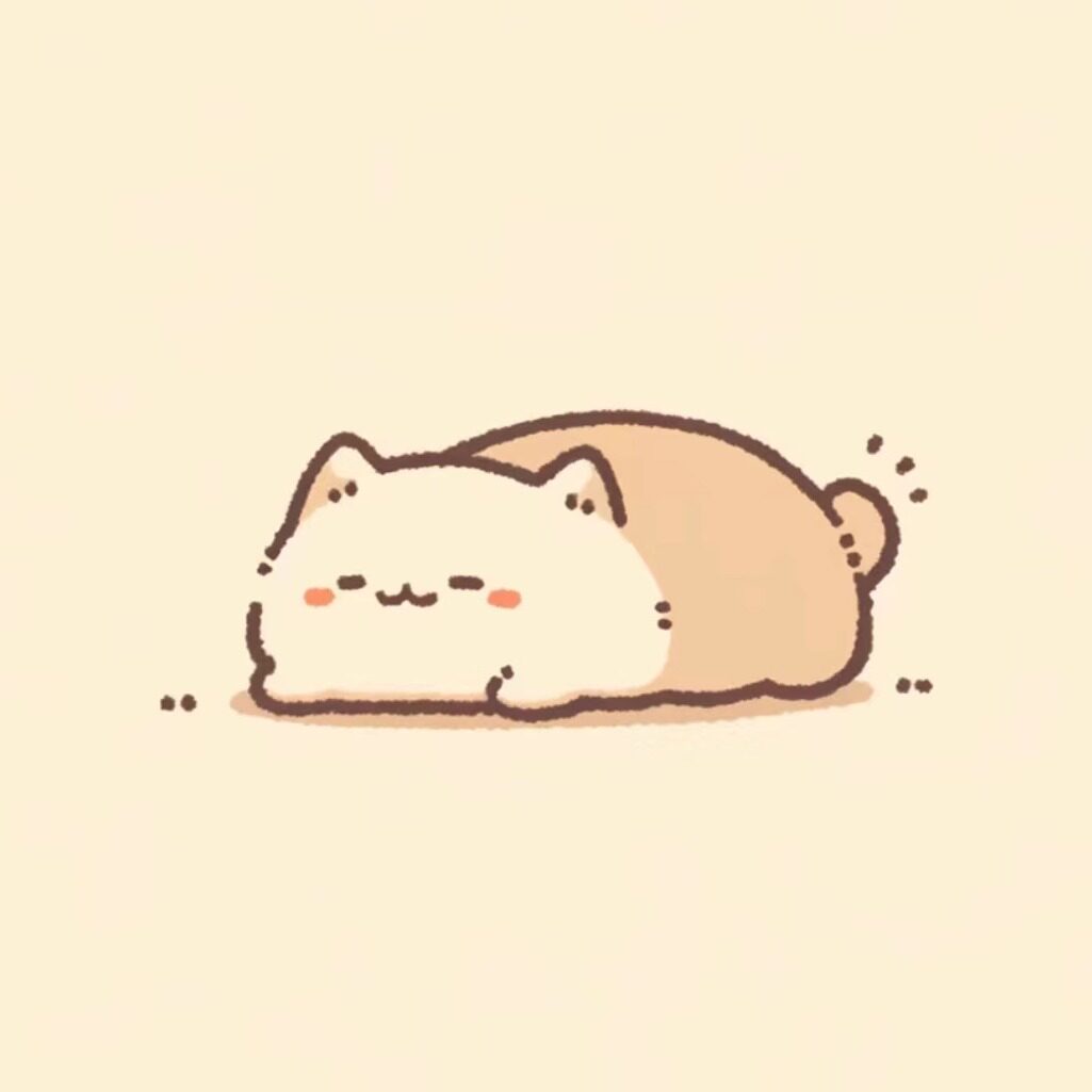 小奶猫养成记
