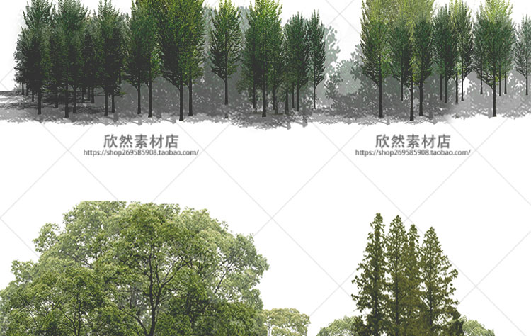 境外国外规划建筑园林景观PS效果图后期素材库植物PSD分层-6