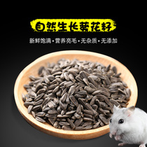 Rage food supplies small black melon seeds grinding teeth eat small food staple small squirrel rat food snacks