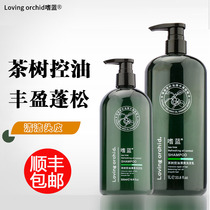 Loving orchid blue tea tree oil control voluminous shampoo dew dandruff anti-dandruff refreshing shampoo for men and women