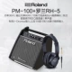 Loa trống điện tử Roland Roland PM100 Loa trống điện PM-200 PM-03 trống điện chuyên nghiệp âm thanh đệm - Loa loa