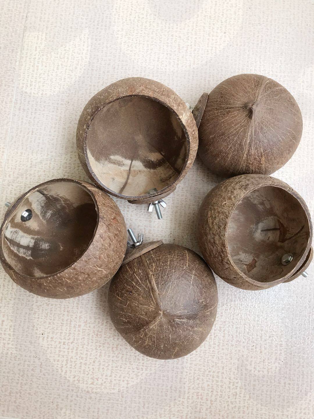 Natural coconut shell food bowl pet chinchilla hamster squirrel anti-bite oversized opening shell bite-resistant coconut shell bowl