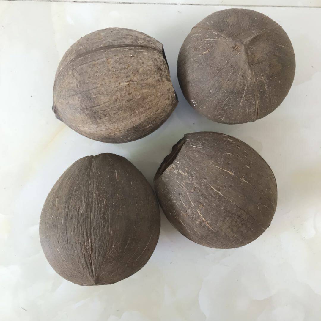 Natural Coconut Shell Henan Opera Ban Hu Qinqiang Musical Instrument Coconut Shell Raw Material Direct Sales