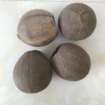 Coconut naturel Shell Yu Dramatic Board Huqin Cavity Coconut Instrumental Coconut Shell Matières premières Origine Direct