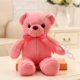 Màu sắc gấu Teddy Doll Ragdoll Đồ chơi sang trọng Gấu hồng Sinh nhật Quà tặng Cô gái - Đồ chơi mềm đồ chơi cho bé 2 tuổi