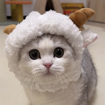 Douyins same style cat little sheep hood cute cross-dressing bear hood rabbit hat kitten headdress accessories for photo taking