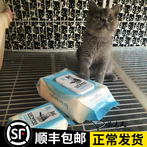 Mèo Leshi khử mùi làm đẹp tóc lau vật nuôi làm sạch khử mùi ướt khăn lau mèo và chó - Cat / Dog Beauty & Cleaning Supplies