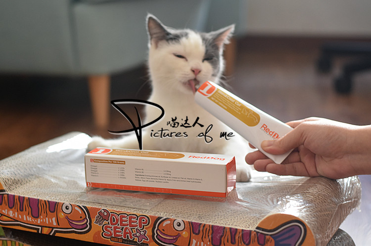 Red Dog Beauty Cream Lecithin Dog Fish Oil Beauty Hair Brightening Cream Pet Cat Teddy Golden Hair Cat Dog Health Health 	sữa cho chó tốt