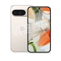 Пиксель 9 керамический рис