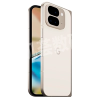 Pixel 9 Pro Fold Ceramic Rice