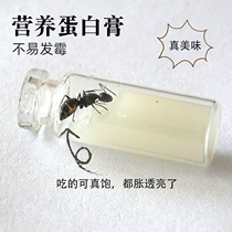 Ants workshop Ant Castle Private food Ant Food convenience Simple nutrition High and not easy to mouldy and need to be refrigerated