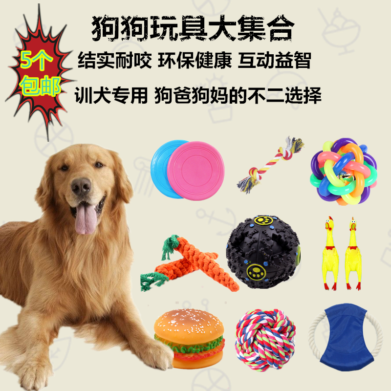 Dog training toy sound ball missing food ball grinding teeth cleaning stick bite-resistant pet ball Samo golden retriever Teddy toy