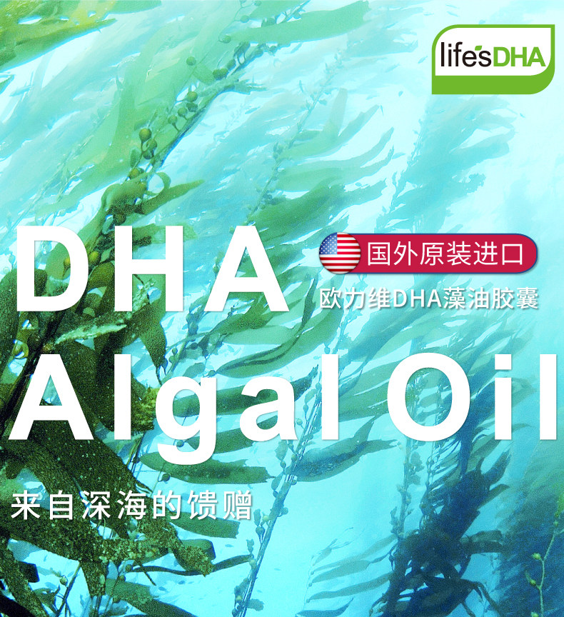 欧力维DHA藻油(图2)