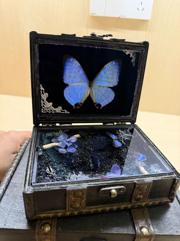 Large Blue Morpho Butterfly Real Butterfly Landscaping Finished Product Display Box Vintage Glass Christmas Gift Birthday Valentine's Day Gift