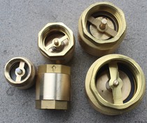 Brass vertical check valve check valve check valve solar pipe fittings prevent water backflow valve