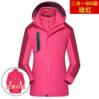 【Три -In -One G05】 Rose Red