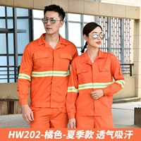 HW202-Оранжевый [тонкий весенне-летний стиль]