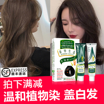 Zhang Hua Ecological Plant Hair Dye Cream for Men and Women