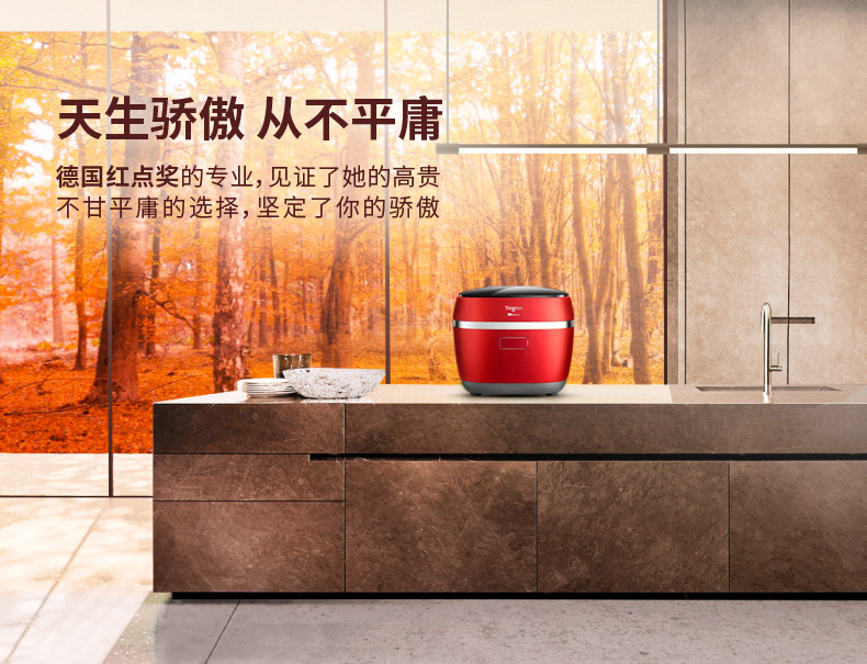 鈦古 IC-B3501微壓力電飯煲