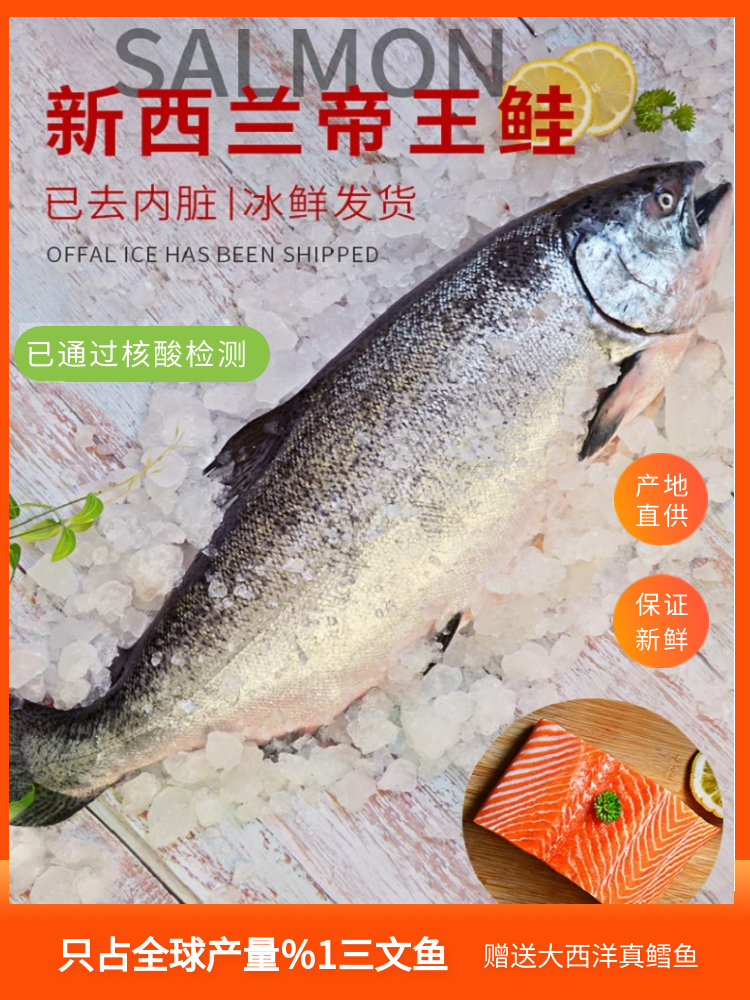 New Zealand king salmon Whole salmon Frozen salmon whole sashimi fresh ready-to-eat 8-9 pounds