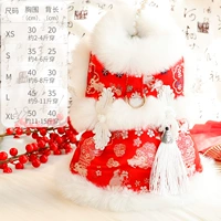 5559 красный кролик