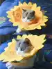 Sunflower Sunflower Shame cat Dog Spay pet Soft cloth Elizabeth circle Cat Little Elizabeth circle