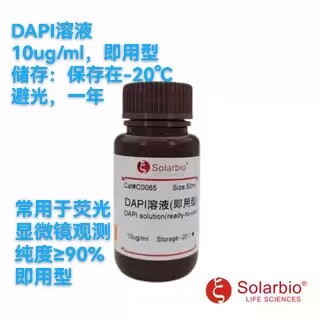 DAPI溶液即用型纯度&ge;90% 10ug/ml 1mg/ml  10ml 50ml索莱宝正品