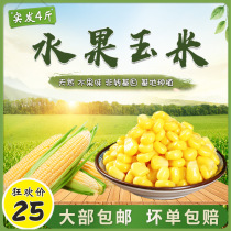 Corn grain sweet open bag ready-to-eat commercial cooked light food low sugar low fat fruit frozen fresh corn cup salad fishing