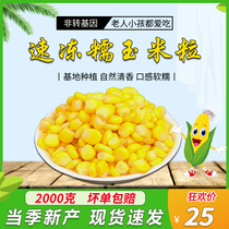 Waxy corn sweet soft sticky corn kernels fresh porridge frozen light food low fat low sugar commercial household