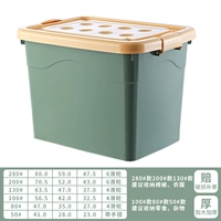 Новый зеленый (вечнозеленое обновление), чтобы купить набор -это больше денег -