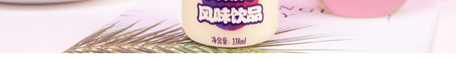 【椰汁岛】乳酸菌饮品338ml*12瓶