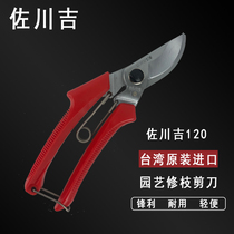 Taiwan imported Sagawa Ji 120 pruning shears pruning pruning rough shears garden tools gardening scissors fruit tree Greening scissors