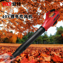YAT Art Electric Hair Dryer Portable High Power Lithium Battery Dust Collector Industrial Grade Rechargeable Blow Leaf