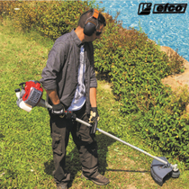 Italy Leaf Red Efco Mower Small Home Petrol Engine Multifunction Open Deserted Agricultural Grass Cutting Irrigation Machine