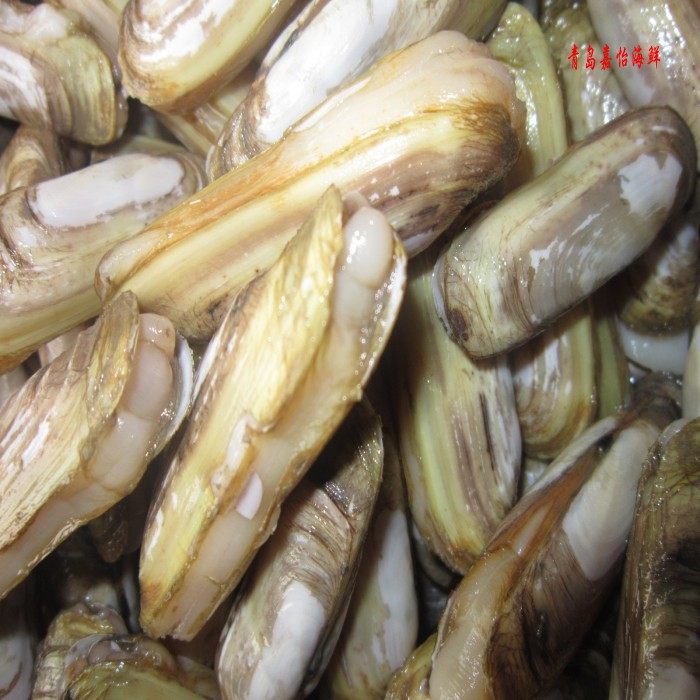 蛏子和蚬子的区别图片,的地方,海虹(第12页)_大山谷图库