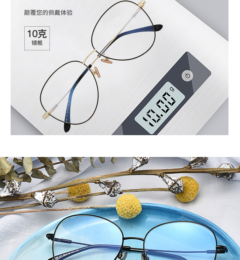 Montures de lunettes en Alliage de nickel - Ref 3141486 Image 13