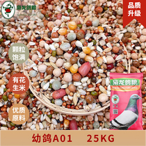The Lord Dragon Dove Grain Young Pigeon A01 Pigeon Grain Feed With Peanut Racing Pigeon Letter Dove Bird Food Jiang Zhejiang 50 Jin