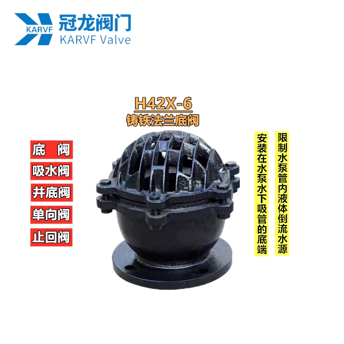 H42X-6 flange bottom valve stop check valve check valve cast iron water pump bottom valve DN50 80100125150