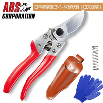 Japan Alice ARS VS-8Z pruning shears Fruit tree pruning shears pruning tools Alice pruning shears