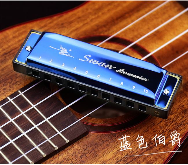 Âm nhạc cao cấp 10 lỗ blues hòa tấu nam c điều chỉnh trẻ em mới bắt đầu học sinh blues nhạc cụ mười lỗ nhỏ nhập cảnh - Nhạc cụ phương Tây