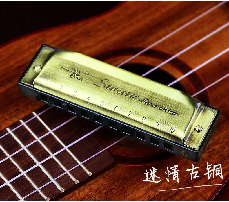 Âm nhạc cao cấp 10 lỗ blues hòa tấu nam c điều chỉnh trẻ em mới bắt đầu học sinh blues nhạc cụ mười lỗ nhỏ nhập cảnh - Nhạc cụ phương Tây