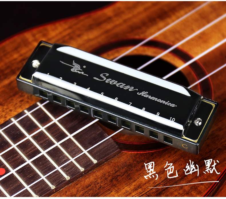 Âm nhạc cao cấp 10 lỗ blues hòa tấu nam c điều chỉnh trẻ em mới bắt đầu học sinh blues nhạc cụ mười lỗ nhỏ nhập cảnh - Nhạc cụ phương Tây đàn guitar yamaha