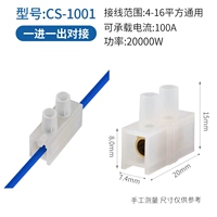 CS-1001 (100a 1) 20