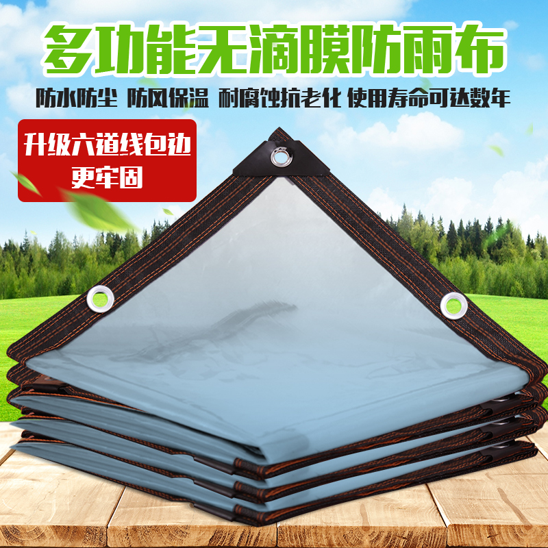 Wrapped edge punching thickened transparent drip film film rainproof tarpaulin succulent green plant insulation cold film shelter