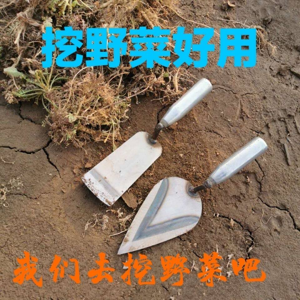 Dig a dandelion shovel to dig wild vegetables to dig a wild vegetable theorist planting a small shovel and a small shovel blade for the mother-in-law.