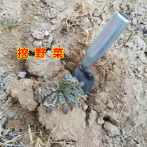 Dig a dandelion shovel to dig a wild vegetable special shovel small shovel to dig a small iron shovel gardening planting flowers and vegetables to dig up the water chestnuts