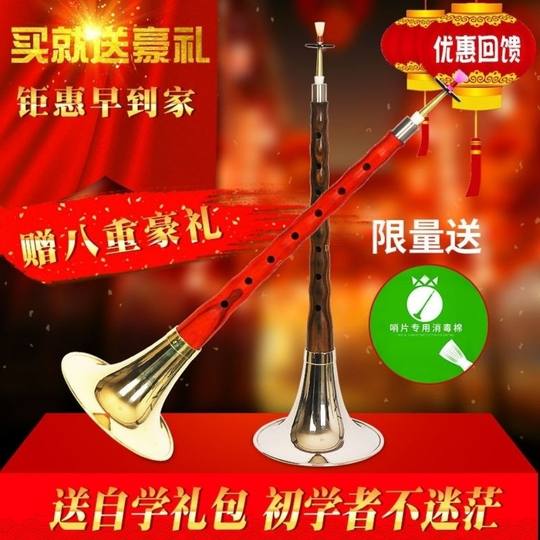 Ebenholz-Palisander-Ebenholz-Suona-Instrument D-Taste für Anfänger, komplettes Set ethnischer Blasinstrumente